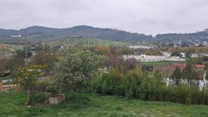 Blick auf ein Feld mit Bäumen und Bergen in der Unterkunft La Casita in Cazalla de la Sierra