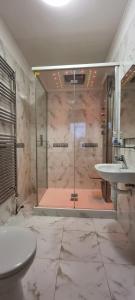 a bathroom with a shower and a toilet and a sink at Cosy Studio with Garden Near the Prague Airport 