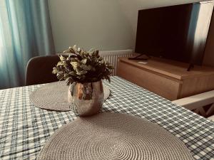 un jarrón de flores sentado en una mesa con un televisor en 1Zi Ferienwohnung bis zu 3 Personen für Dienstreisende in Loßburg Schwarzwald en Loßburg