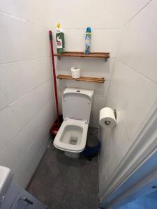 a small bathroom with a toilet and a sink at Beatle Luxy Apartment in Feltham