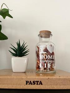 a jar of money sitting on a wooden shelf next to a plant at THE WHITE HOUSE, Modern apartment in Center in Milan