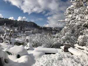 a city covered in snow with trees and houses at 1Zi Ferienwohnung bis zu 3 Personen für Dienstreisende in Loßburg Schwarzwald in Loßburg