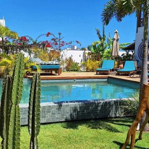 佩德拉斯港的住宿－Arataba Hotel Boutique e Bistrô - 150 mts do mar，一个带仙人掌的游泳池,位于带椅子的庭院内