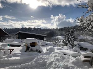 洛斯堡的住宿－Große und helle 3 Zi Wohnung in Loßburg, Schwarzwald，雪中覆盖的院子,背着太阳
