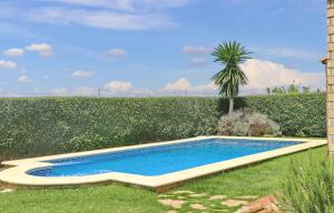 een zwembad in een tuin met een palmboom bij Chalet Piedra in Conil de la Frontera