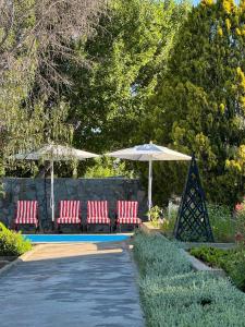 a group of red chairs under a white umbrella at Kliphuijs Richmond in Richmond