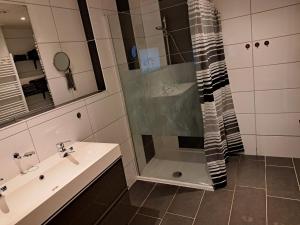 La salle de bains est pourvue d'une douche et d'un lavabo. dans l'établissement Kniepwiekerhof, à Neukamperfehn