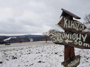 Przyroda w pobliżu tego domu w stylu alpejskim