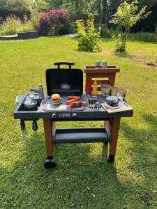 una mesa de picnic en la hierba con comida. en Ferienhaus Auszeit auf dem Berghof, en Tastrup