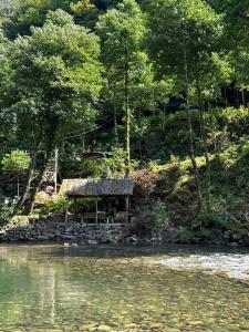 un banc installé à côté d'une rivière arborée dans l'établissement Ribera, 