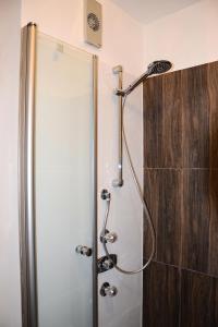 a shower with a glass door in a bathroom at Five Seasons in Oberstaufen