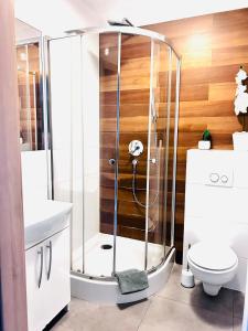 ein Bad mit einer Dusche und einem WC in der Unterkunft Apartament Manhattan in Gorzów Wielkopolski