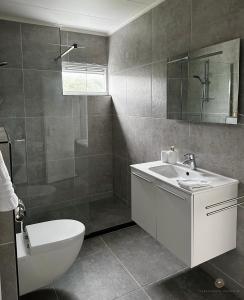 een badkamer met een toilet, een wastafel en een douche bij -Casa Branca- nabij het meer, strand en keukenhof in Noordwijkerhout