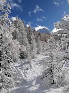 a snow covered forest with trees and a river at PUY SAINT VINCENT APPARTEMENT T2 BALCON SUPER PANORAMA AVEC PARKING PRIVE COUVERT et PISCINE L'ETE in Puy-Saint-Vincent