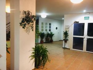 Vstupní hala nebo recepce v ubytování Manilva Playa + 37 fotografií