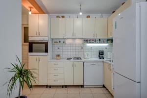 Kuchyňa alebo kuchynka v ubytovaní Villa Smajo