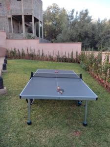 a ping pong table in the grass in a yard at Riad Timskrine in Marrakech