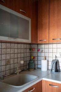 kuchnia ze zlewem i drewnianymi szafkami w obiekcie Cozy apartment in Sykies w Salonikach