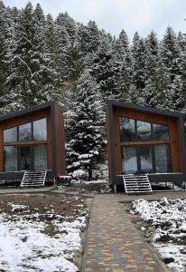 ein paar Gebäude neben einem schneebedeckten Wald in der Unterkunft База відпочинку „СІНАЙ“ in Sloboda