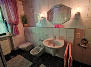 een badkamer met een wastafel en een toilet bij Ferien bei Fuchs in Stein
