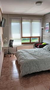 1 dormitorio con 1 cama, escritorio y ventanas en Gaia, en Bareyo