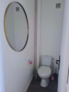 a bathroom with a white toilet and a mirror at T4 proche de tout ! Séjour parfait garanti in Saint-Herblain