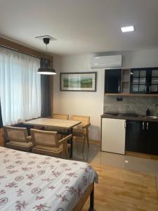 Kuhinja ili čajna kuhinja u objektu Alexandar studio apartman
