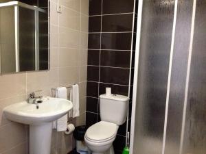 La petite salle de bains est pourvue de toilettes et d'un lavabo. dans l'établissement Residencial Dom Duarte, à Viseu