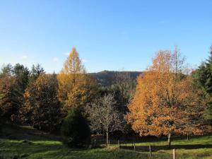 Paesaggio naturale nelle vicinanze dello chalet