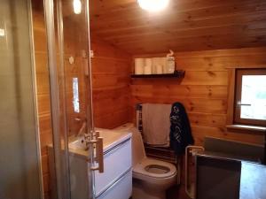 bagno con servizi igienici e lavandino in una cabina di Le gîte du Männele - Into my Hardt a Dabo