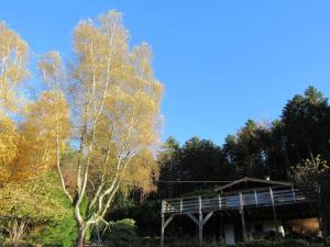 Giardino di Le gîte du Männele - Into my Hardt
