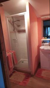 ein Bad mit einer Dusche und einem Waschbecken in der Unterkunft Chambres d'hôtes La Hulotte 69 in Villechenève