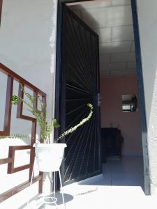 a plant in a pot in front of a door at departamento familiar, Tarija te espera!! in Tarija