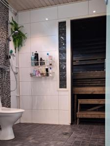 uma casa de banho com um chuveiro e um WC. em Taivalviiri em Taivalkoski