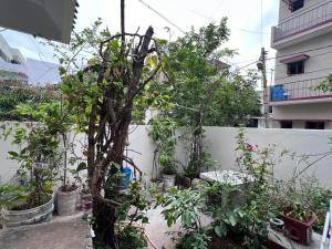 2BHK with parking & ample space في بانغالور: حفنة من النباتات في الأواني بجوار سياج