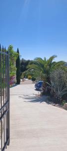 une allée avec une clôture, des palmiers et une voiture dans l'établissement B&B La Boissière Et Le Vialat, à Montagnac