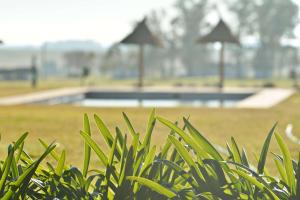 a bush in front of a park with a skate park at Hotel Santa Cristina in Durazno