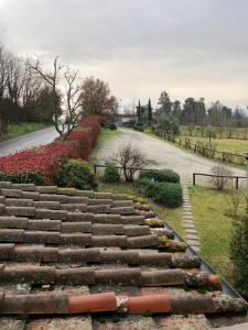 A garden outside Poggio Savelli