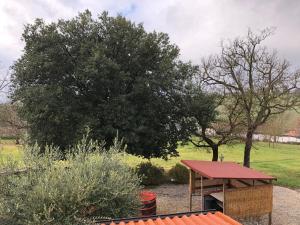 A garden outside Poggio Savelli