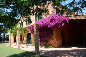 un arbre aux fleurs violettes sur le côté d'un bâtiment dans l'établissement Villa Mas Dels Noguers, à Torroella de Montgrí