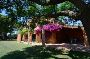 Gallery image of Villa Mas Dels Noguers in Torroella de Montgrí