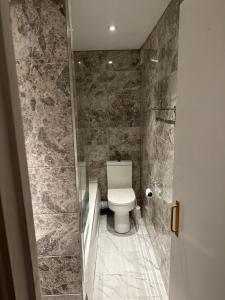 a bathroom with a toilet and a stone wall at Newly refurbished - Near seafront - Retro games machine - Central Brighton - 1 bedroom apartment in Brighton & Hove