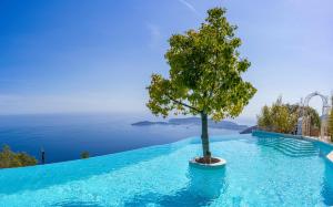 a tree sitting on top of a swimming pool at La Chèvre d'Or in Éze