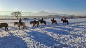 a group of people riding horses in the snow at Domki drewniane pod Karpaczem 9 osobowy in Mysłakowice