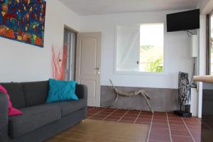 sala de estar con sofá gris y ventana en Villa Piscine - Bougainvillier, en Les Anses-dʼArlet