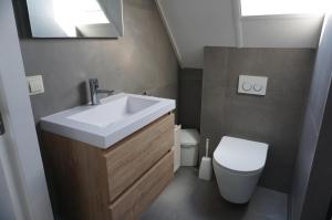 a bathroom with a sink and a toilet at Kustverhuur, Park Schoneveld Stern 253 in Breskens