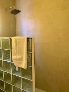 a bathroom with a shower with a towel on a towel rack at Apartment 6, Kenridge Residences, West coast in Saint James