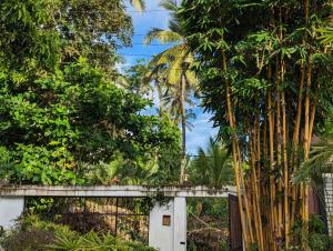 een poort in het midden van een bos van palmbomen bij Ceyio traditional villa in Matara