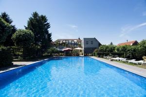 a large blue swimming pool with a house in the background at Hotel Pacific in Weelde