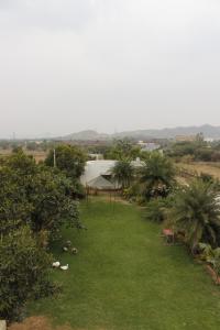 une cour avec de l'herbe, des palmiers et une masse d'eau dans l'établissement Farm Aavjo, à Pushkar